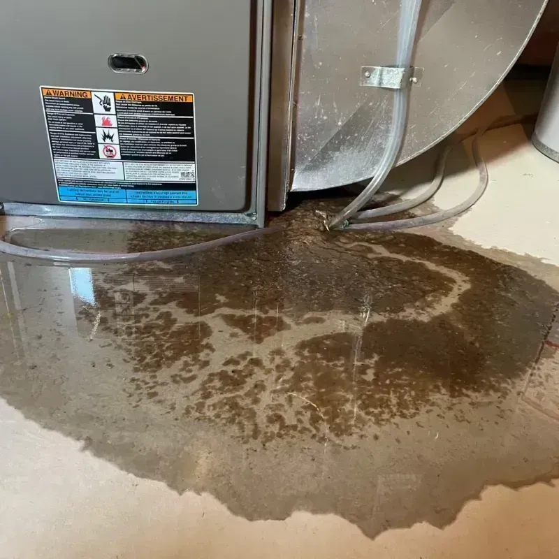 Appliance Leak Cleanup in Saltillo, MS